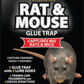 HARRIS SUPER SIZE RAT & MOUSE GLUE TRAP 1 PK