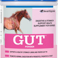 SMARTEQUINE GUT DIGESTIVE AND GI SUPPORT POWDER 2 LB