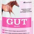 SMARTEQUINE GUT PELLETS 2.7 LB