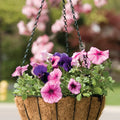 GROWERS HANGING BASKET W/COCO LINER 14 IN BLACK
