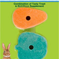SALT & TRACE MINERAL LICK 2 PC