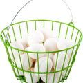 COATED WIRE EGG BASKET 8.5X8.5X5.25 IN GREEN