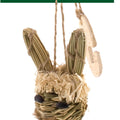 FUN-E-BUNNY 3X1.75X9.5 IN