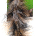 DELUXE FEATHER WAND CAT TOY