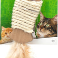 CORRUGATED CATCHER CAT TOY