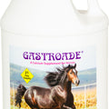 COX GASTROADE CALCIUM SUPPLEMENT 1 GAL CHERRY