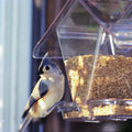 Aspects Window Cafe Bird Feeder
