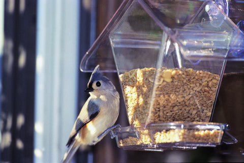 Aspects Window Cafe Bird Feeder