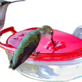 Hummzinger Gem Window Hummingbird Feeder
