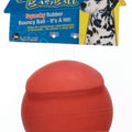 I-Squeak LG BB Dog Toy