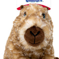 KONG COMFORT WUZZEEZ CAPYBARA