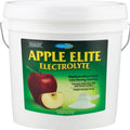 APPLE ELITE ELECTROLYTE POWDER 20 LB APPLE