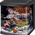 CORALIFE BIOCUBE LED AQUARIUM 16 GAL-15X16X17 BLACK