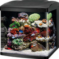 CORALIFE BIOCUBE LED AQUARIUM 32 GAL-20X21X21 BLACK