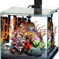AQUEON FRAMLESS CUBE AQUARIUM 3 GAL