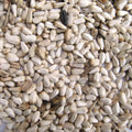 GENERIC SAFFLOWER SEED 25 LB