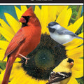 GENERIC BLACK OIL SUNFLOWER SEED 40 LB