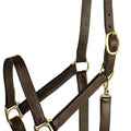 GATSBY LEATHER ADJUSTABLE TURNOUT HALTER W/SNAP COB HAVANA