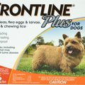 FRONTLINE PLUS FOR DOGS 1-22 LB-6 PK