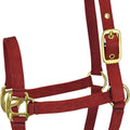 HAMILTON ADJUSTABLE CHIN HALTER W/SNAP FOAL RED