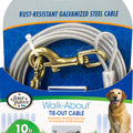 FOUR PAWS WALK-ABOUT TIE-OUT CABLE HEAVY WEIGHT 10 FT SILVER