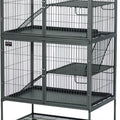 FERRET NATION 36X25X62 IN GRAY