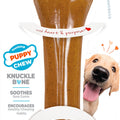 NYLABONE JUST FOR PUPPIES CHEW BONE XL CHICKEN