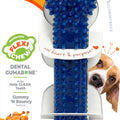 NYLABONE MODERATE CHEW DENTAL BONE MD CHICKEN