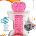 NYLABONE PUPPY CHEW TEETHING BONE XS PINK/CHICKEN