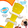 NYLABONE PUPPY CHEW CHILL & CHEW FREEZER BONE REG LAMB/APPLE