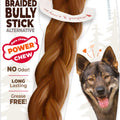 NYLABONE POWER CHEW ALTERNATIVE BRAIDED BULLY LG
