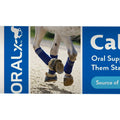 ORALX CALM & COOL ORAL SUPPLEMENT PASTE 34 GM