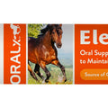 ORALX ELECTRO-PLEX ORAL SUPPLEMENT ELECTROLYTE GEL 34 GM