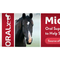 ORALX MICRO B-12 VITAMIN PASTE 12X 34 GM