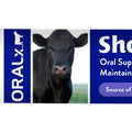 ORALX SHOW CALF 2 PASTE 34 GM