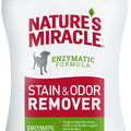 32OZ Stain/Odor Remover