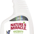 24OZ Stain/Odor Remover