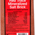 SALT BRICK