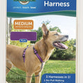 PETSAFE 3 IN 1 HARNESS XS PLUM