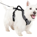 PETSAFE EASYSPORT DOG HARNESS SM CHARCOAL