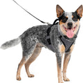 PETSAFE EASYSPORT DOG HARNESS MD CHARCOAL