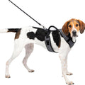 PETSAFE EASYSPORT DOG HARNESS LG CHARCOAL