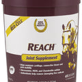 REACH JOINT SUPPLEMENT 2.8 LB