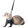 MARSHALL FERRET HARNESS AND LEAD 48 IN BLACK