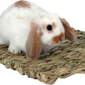 MARSHALL WOVEN GRASS MAT 13.5X10.5 IN