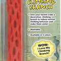 HERMIT CRAB CLIMBING BRANCH  ASSORTED