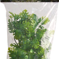 NATURAL BUSH AMAZONIAN PHYLLO PLANT SM-14 IN GREEN