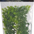 NATURAL BUSH MALAYSIAN FERN PLANT SM-14 IN GREEN