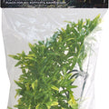 NATURAL BUSH BOLIVIAN CROTON PLANT SM-14 IN GREEN