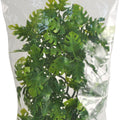 NATURAL BUSH AMAZONIAN PHYLLO PLANT MD-18 IN GREEN
